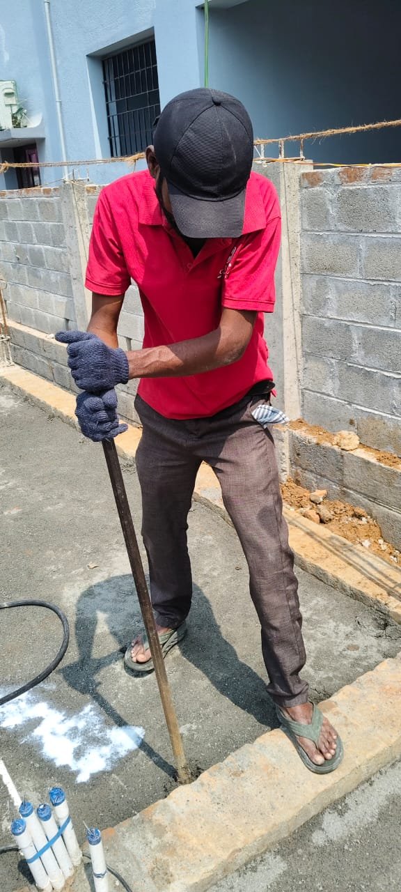 Bed bug steam treatment